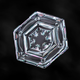 Image for article titled A photographer’s scientific approach to shooting snowflakes reveals stunning geometric variety